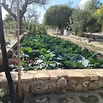 Visnja With Pool Σπίτι διακοπών *