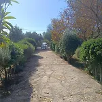 Σπίτι διακοπών Visnja With Pool Benkovac