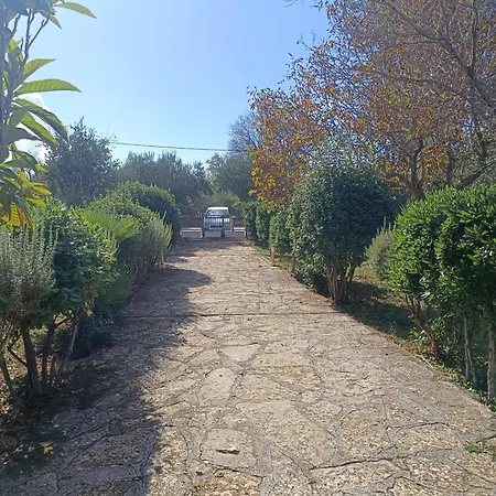 Visnja * Benkovac