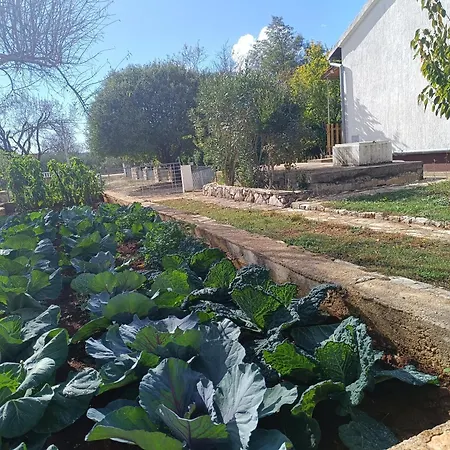 Visnja With Pool Benkovac