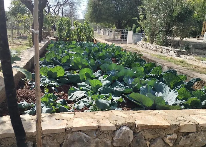 Visnja With Pool بيت للعطل *