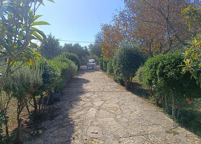 بيت للعطل Visnja With Pool بنكوفاتش