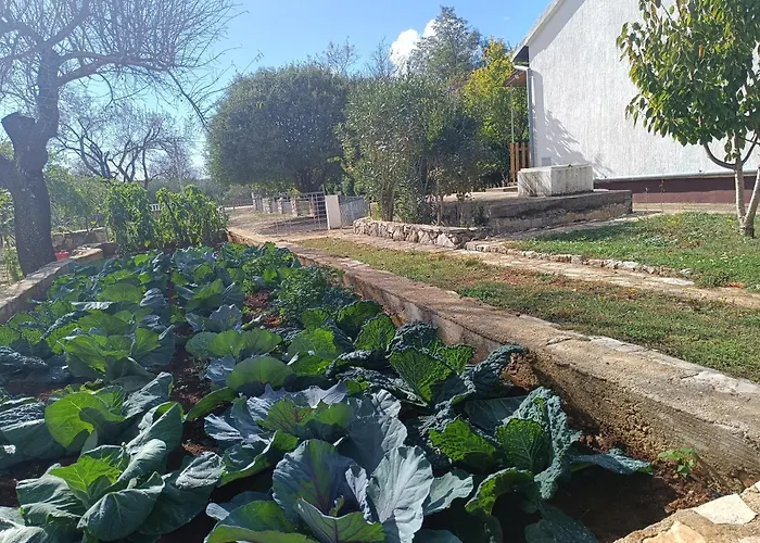 Visnja With Pool بنكوفاتش