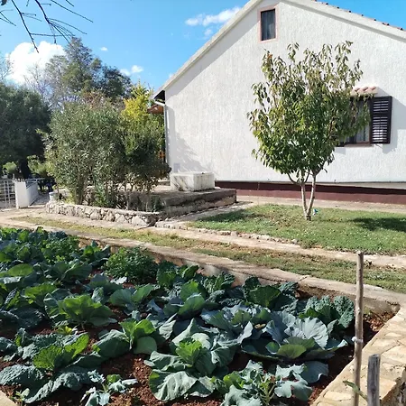 Σπίτι διακοπών Visnja With Pool Benkovac