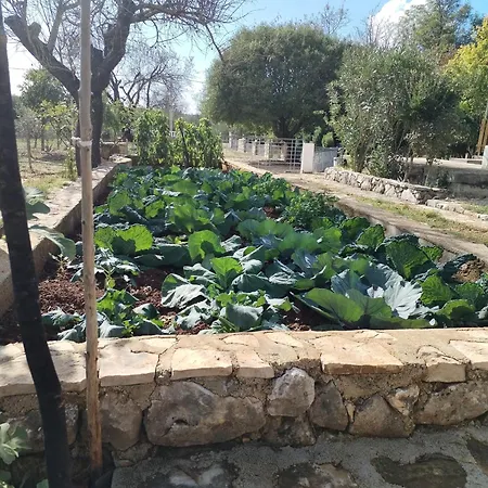 Visnja With Pool بيت للعطل *