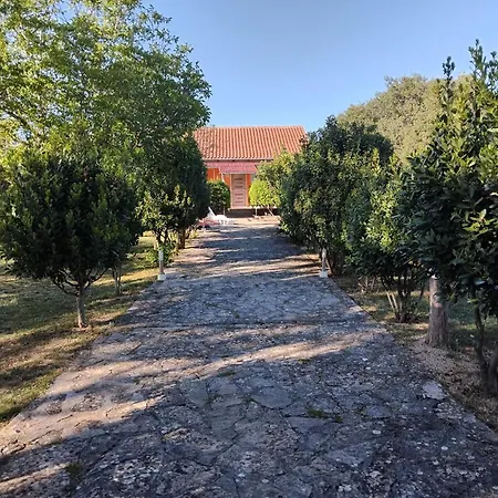 Visnja With Pool Benkovac