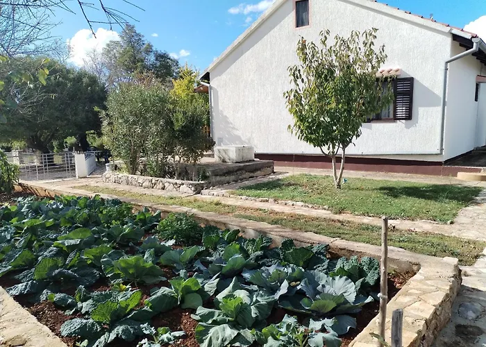 Σπίτι διακοπών Visnja With Pool Benkovac